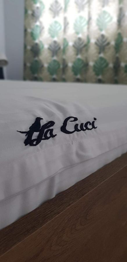 Pensiunea La Cuci تيشيرغيول المظهر الخارجي الصورة